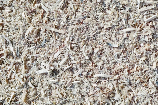 Sawdust Waste Main Production Processing Secondary Raw Material — Stock Photo, Image