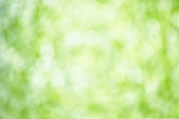 Sfondo Bokeh Naturale Dal Verde Bianco Brillante Alta Risoluzione — Foto Stock