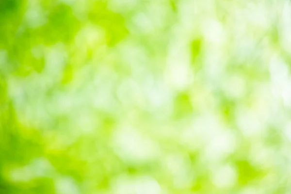 Sfondo Bokeh Naturale Dal Verde Bianco Brillante Alta Risoluzione — Foto Stock