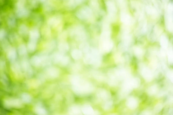 Sfondo Bokeh Naturale Dal Verde Bianco Brillante Alta Risoluzione — Foto Stock