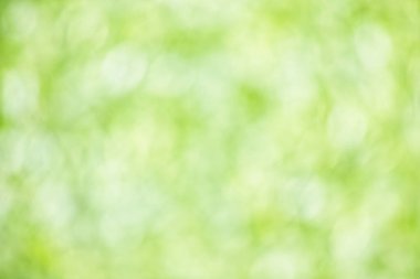 Doğal bokeh arka planı, yeşilden parlak beyaza. Yüksek çözünürlük.