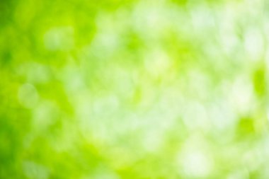 Doğal bokeh arka planı, yeşilden parlak beyaza. Yüksek çözünürlük.