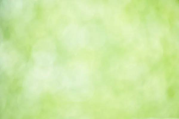 Естественный Фон Боке Зеленого Ярко Белого Высокое Разрешение — стоковое фото