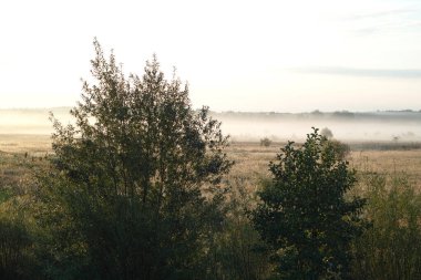 Orta Avrupa 'nın kırsalında yükselen güneşle birlikte sabah manzarası.                       