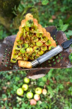 delikli elma çekirdeği durumda