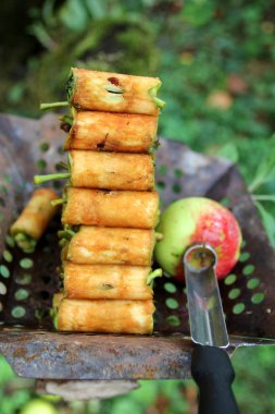 delikli elma çekirdeği durumda