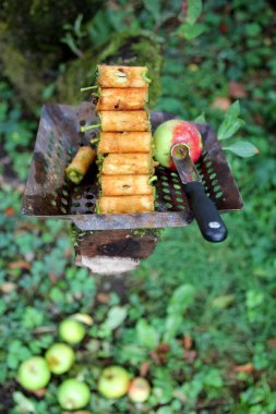 delikli elma çekirdeği durumda