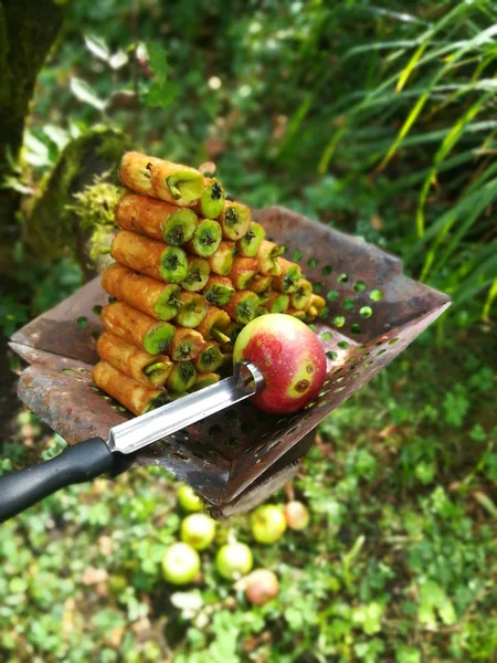 Punched Apple Core Case — Stock Photo, Image