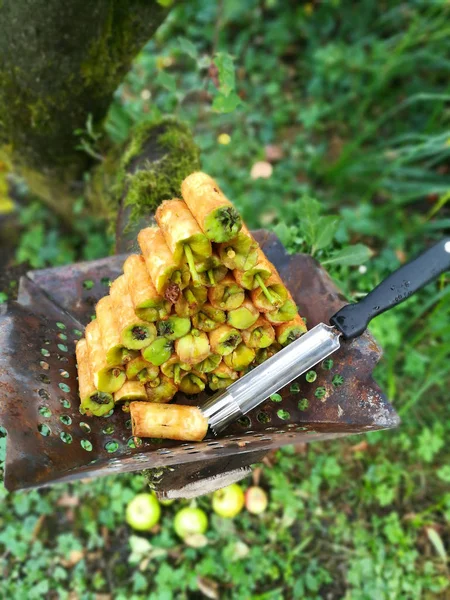 delikli elma çekirdeği durumda