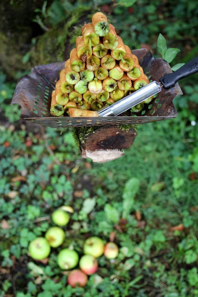 delikli elma çekirdeği durumda