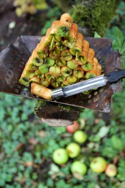 delikli elma çekirdeği durumda