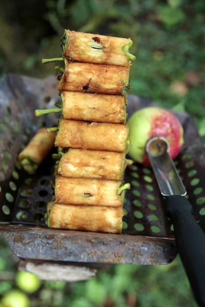 Zapichované Apple Core Případ — Stock fotografie