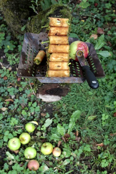 Delikli Elma Çekirdeği Durumda — Stok fotoğraf