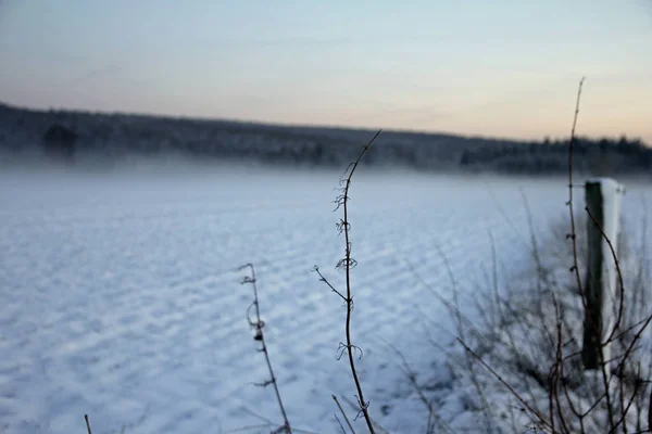 Naturaleza Invernal Alrededor Paderborn —  Fotos de Stock