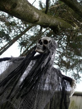  hayalet ormanda uçan