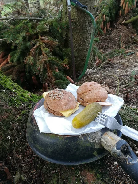 Pausa Colazione Nella Foresta — Foto Stock