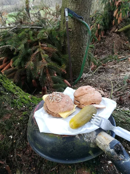 Pausa Colazione Nella Foresta — Foto Stock