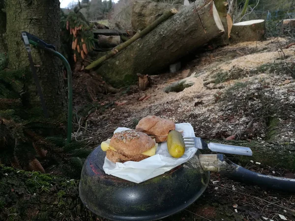 Pausa Colazione Nella Foresta — Foto Stock