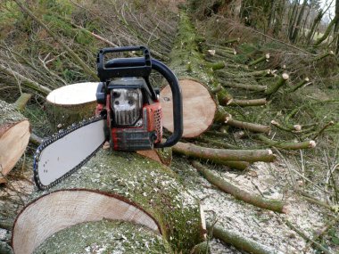 ormanda Servis Kahvaltı