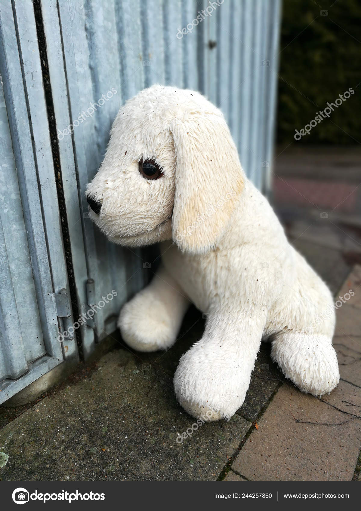 lost and found stuffed animals