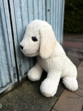 kayıp ve bulundu, eski doldurulmuş hayvan