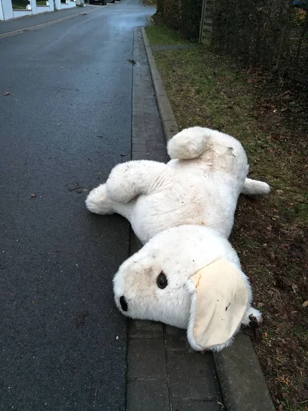 Lost Found Old Stuffed Animal — Stock Photo, Image