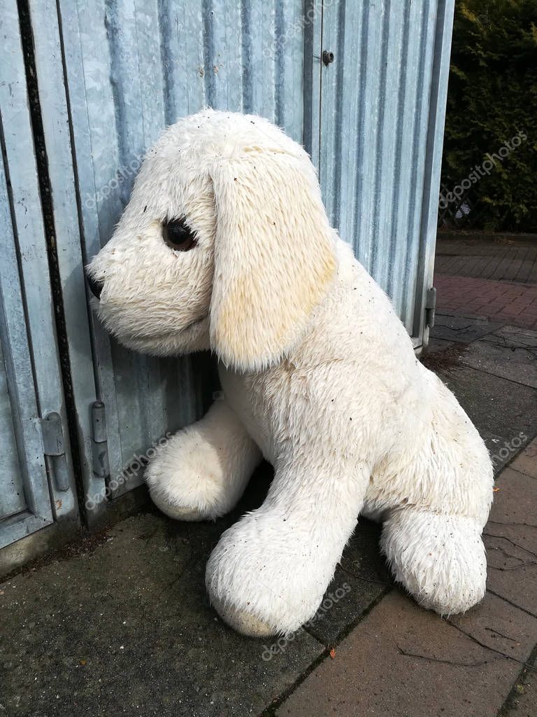lost and found, the old stuffed animal