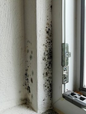 vasıl belgili tanımlık pencere siyah kalıp