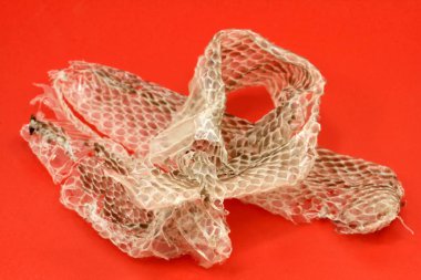  Makrodan hornscale yılan deri değiştirme