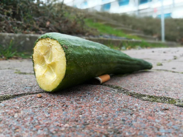 Still Life Old Cucumber — Stock Photo, Image