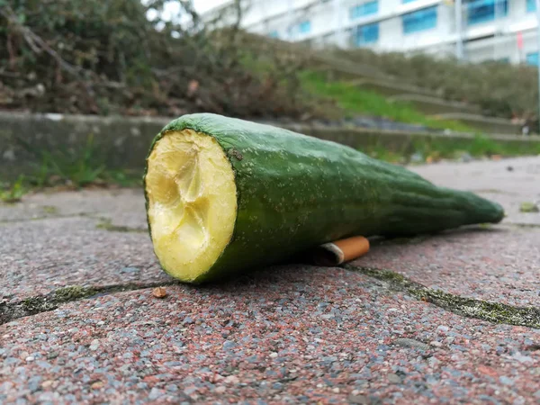 Still Life Old Cucumber — Stock Photo, Image