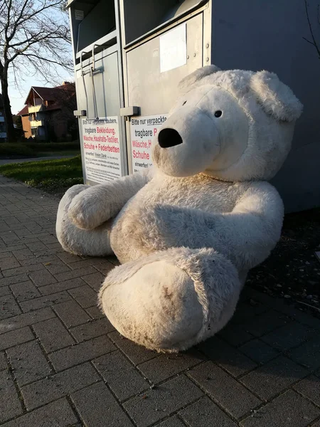 Perdido Encontrado Viejo Peluche — Foto de Stock