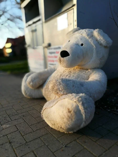 Perdido Encontrado Viejo Peluche — Foto de Stock