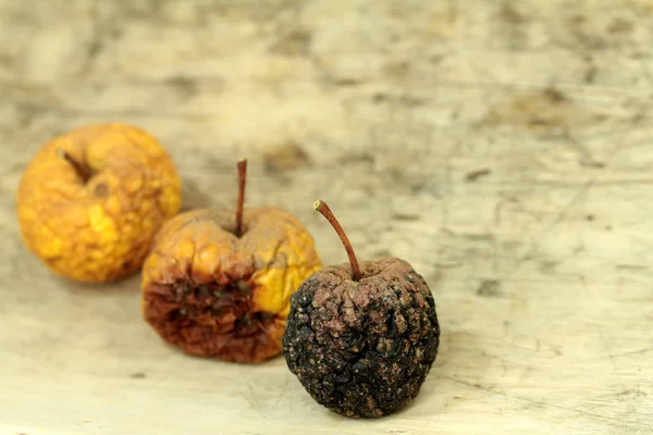 Rotten Apples Last Year — Stock Photo, Image