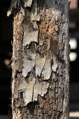 Tadilatta kiriş inşaatı