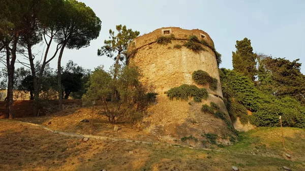 Sur Chemin Toscane — Photo