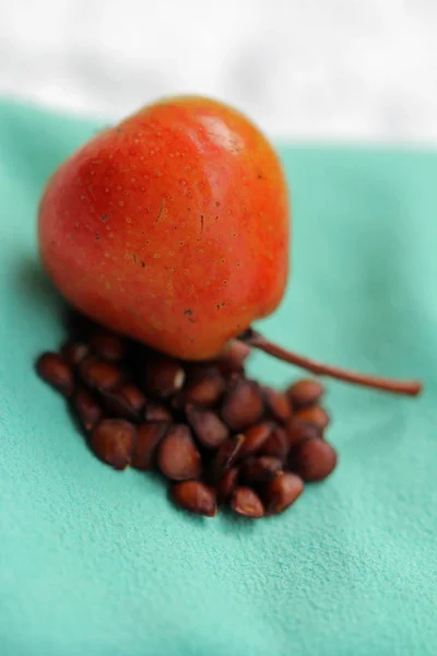 Trellis Kernels Kunst Behouden — Stockfoto