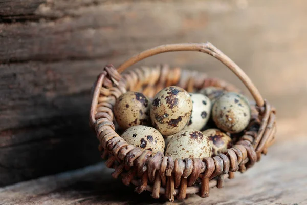 Quail Eggs Wicker Basket — Stock Photo, Image