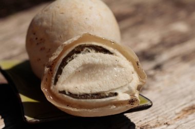  Kokuşmuş mantardan cadı yumurtası.