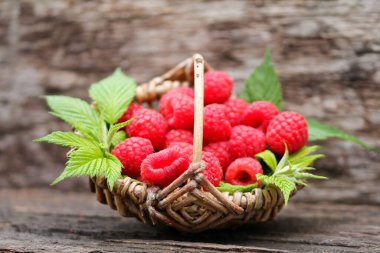 Sepette taze ahududu