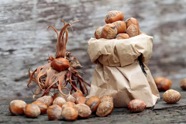 Turkish Hazelnuts Presented Sachets — Stock Photo, Image