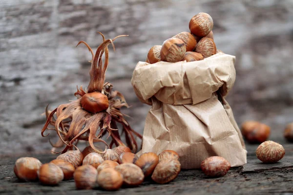 Noisettes Turques Présentées Sachets — Photo