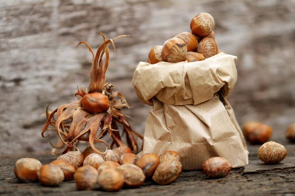 Turkish Hazelnuts Presented Sachets — Stock Photo, Image