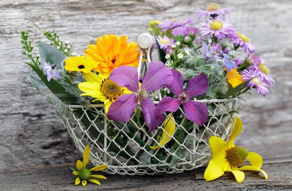 Herbst Astern Und Andere Schöne Blumen Und Blüten — Stockfoto