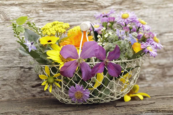 Herbst Astern Und Andere Schöne Blumen Und Blüten — Stockfoto