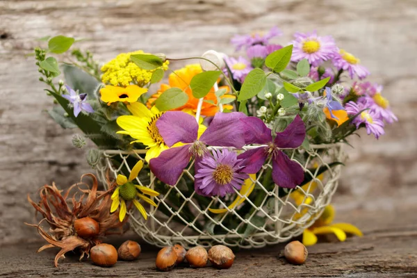 Herbst Astern Und Andere Schöne Blumen Und Blüten — Stockfoto