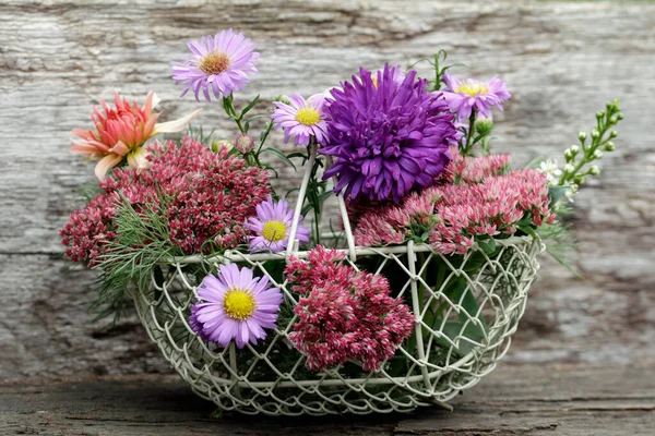 Autunno Astri Altri Bellissimi Fiori Fioriture — Foto Stock