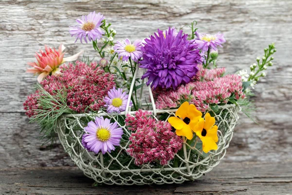 Höst Aster Och Andra Vackra Blommor Och Blommor — Stockfoto