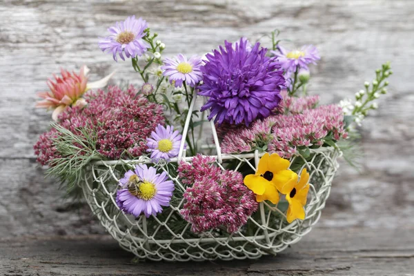 Höst Aster Och Andra Vackra Blommor Och Blommor — Stockfoto