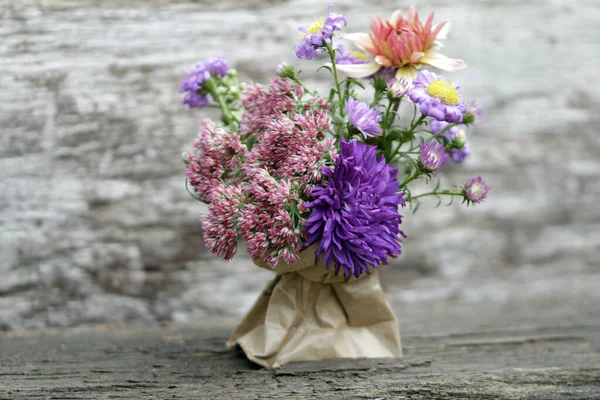 Catadores Otoño Otras Hermosas Flores Flores —  Fotos de Stock
